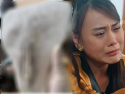 Làm đẹp - Khóc thét trước thành quả wax lông vùng bikini, nhìn thôi đã thấy "cô bé" chịu nhiều tổn thương