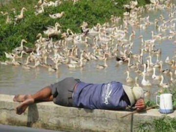 Hai người đàn ông miền Tây trúng độc đắc, bỗng dưng có tiền tỷ và kết cục được hàng xóm dự đoán từ trước