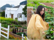 Nhà đẹp - 9X Tuyên Quang xinh đẹp "bỏ phố về rừng", chăm nhà vườn 800m2 đẹp như trang trại trời Âu