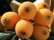 Sức khỏe - Loại quả dại được ví như "vàng thực vật", có hương thơm hấp dẫn nhưng ít người biết mà thưởng thức