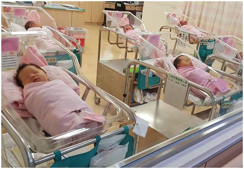 Các em bé sẽ được chăm sóc chu đáo trong bệnh viện để đảm bảo sức khỏe. 
