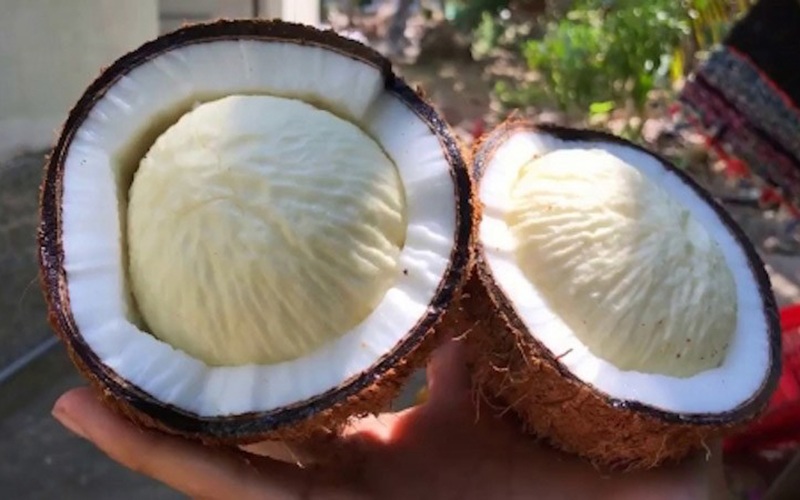 Mộng dừa có thể đem chế biến được thành nhiều món ăn ngon và hấp dẫn như ướp lạnh ăn sống, dầm đường, gỏi mộng dừa, mộng dừa xào tép, mộng dừa lắc muối ớt…
