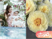 Nhà đẹp - Sống với chồng trẻ trong biệt thự đẹp, Nguyễn Ngọc Anh khoe hoa lung linh, "đóa hoa" cuối mới là tuyệt tác