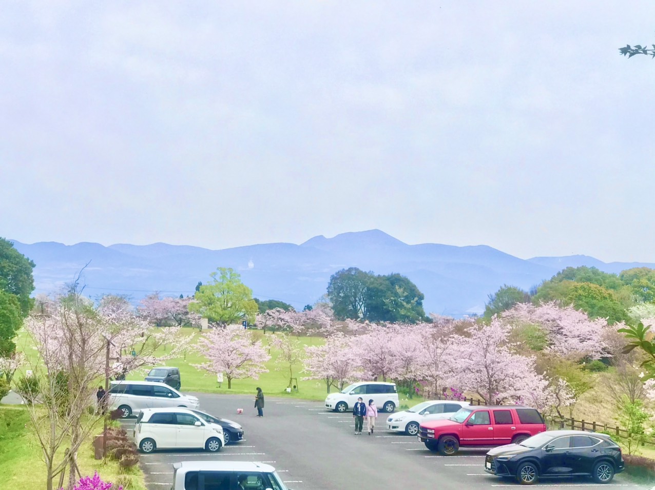 Khí hậu của Kagoshima vào tháng 4 khá ấm áp và có nhiều ngày nắng đẹp. Thời tiết cuối tháng có nhiều ngày nóng dần hơn. 