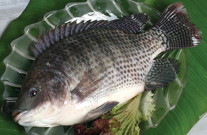 Ở chợ và siêu thị giờ chủ yếu là cá nuôi, còn cá đồng thì phải về chợ quê mới mua được