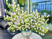 Nhà đẹp - Lạ lùng loài hoa thoạt nhìn như bó rau héo, cắm nước sôi bỏng tay lại nở căng, đẹp như pha lê