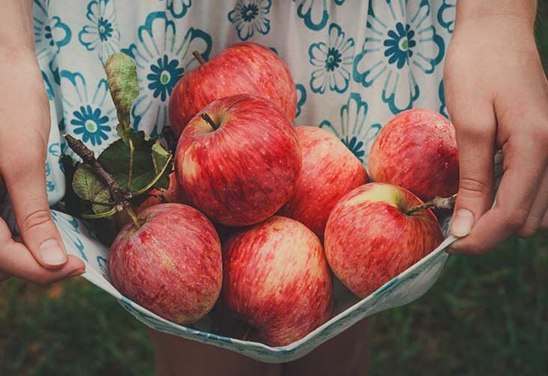 Táo được bày bán nhiều ở siêu thị và các cửa hàng bán hoa quả, thậm chí cả ở trong chợ. Tuy nhiên không phải quả táo nào cũng ngon, vì thế bạn cần phải biết cách lựa chọn sao cho đúng.
