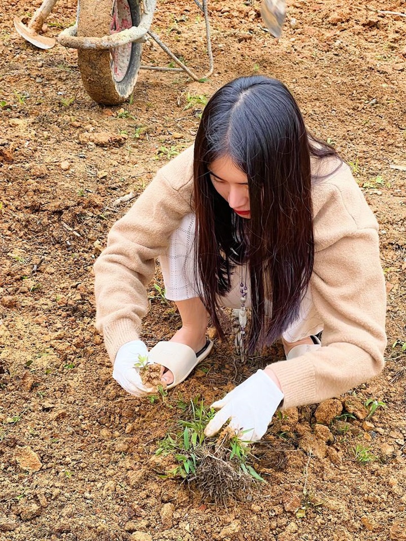 Chọn cuộc sống đơn sơ, Phương Trang không ngại bốc đất, làm cỏ để chăm sóc vườn cùng mọi người.
