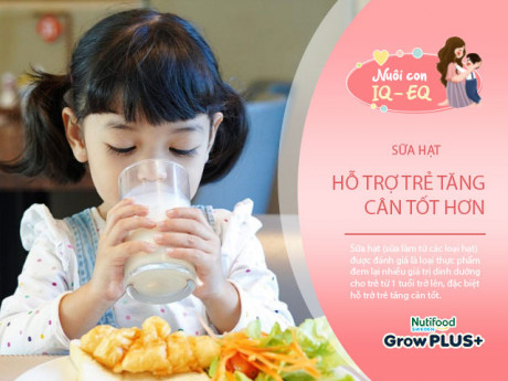 7 loại sữa hạt giàu dinh dưỡng giúp trẻ tăng cân mẹ nên làm ngay