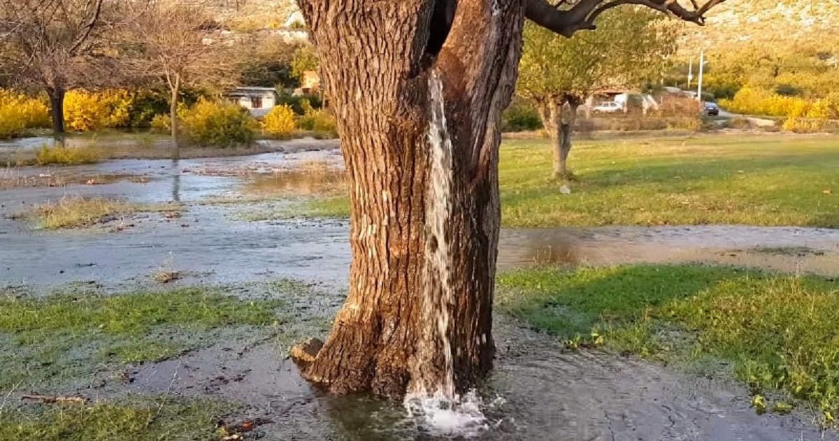 Ngôi làng kỳ lạ, “Giếng phù thủy” phun nước cao cả nửa mét, cây “bơm nước” như máy - 1