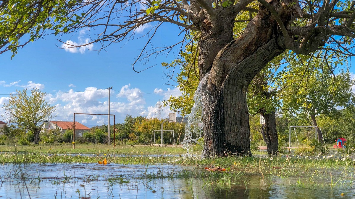 Ngôi làng kỳ lạ, “Giếng phù thủy” phun nước cao cả nửa mét, cây “bơm nước” như máy - 3
