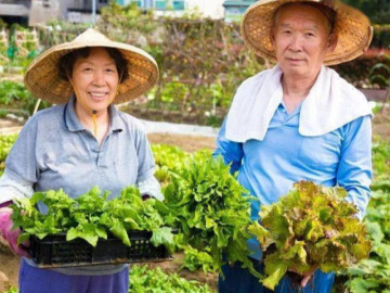 Nhiều người sợ béo nên kiêng tinh bột, nhưng người Nhật ăn 85% là tinh bột vẫn gầy và sống lâu vì có sự khác biệt này