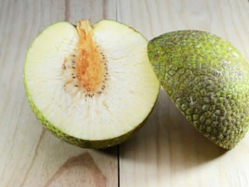 Loại quả nhìn như mít ngày trước không ai ăn, nay bỗng trở thành đặc sản được săn lùng, giá 70.000 đồng/kg