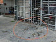 Tin tức - Tin tức 24h: Hé lộ nguyên nhân khiến nữ nhân viên quán cà phê thư giãn bị sát hại ở Bắc Giang