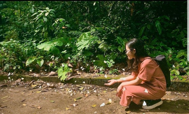 Ngỡ như đang check-in tại một khu vườn cổ tích. (Ảnh: vitvang_)