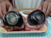 Xem ăn chơi - Thứ nhìn rất kinh dị, xưa ít ai dám ăn, giờ thành đặc sản nổi tiếng, muốn thưởng thức phải đến nơi này, 140.000 đồng/kg