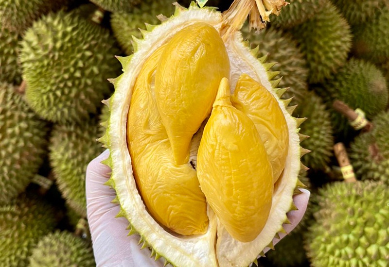 Sầu riêng là loại quả rất thơm ngon, bổ dưỡng. Mặc dù có một số người không ăn được sầu riêng vì mùi đặc trưng của quả này. Tuy nhiên, không thể phủ nhận sầu riêng là "vua của các loại trái cây".
