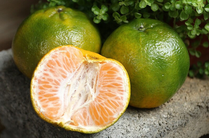 Cam quýt là loại trái cây ít calo nhưng dinh dưỡng cao, một quả cam có thể cung cấp 92% lượng vitamin C cho cả ngày, giúp tổng hợp collagen, chống lão hóa. Nó rất giàu chất xơ, có thể làm giảm nguy cơ mắc bệnh tim và ung thư ruột kết. 
