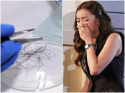 Làm mẹ - Chồng đi tù 5 năm, mỗi lần vợ con đến thăm đều nhổ 1 sợi tóc, lúc ra tù vợ mới biết sự thật thì bật khóc