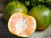 Sức khỏe - Chuyên gia dinh dưỡng bình chọn 10 loại quả giúp kéo dài tuổi thọ, trẻ hóa da và ngừa ung thư