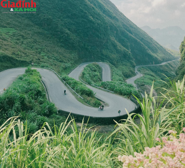 Những năm gần đây, những cung đèo ở Hà Giang đã thu hút hàng ngàn dân xê dịch đến đây trải nghiệm.