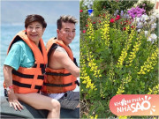 Nhà đẹp - Người đàn bà quyền lực là vợ cũ Đàm Vĩnh Hưng, khoe không gian nhà xinh xắn tại Mỹ, vườn hoa đẹp mê