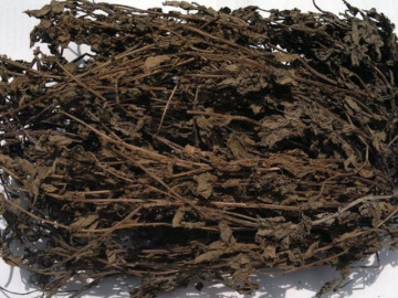 Thứ khô như rơm không ngờ làm ra món ngon đại bổ, trông đen sì sì nhưng bán rất chạy ngày hè