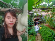 Nhà đẹp - Mẹ đảm Sơn La mách bí quyết pha nước tưới rau 0 đồng, được vườn xanh mướt ăn không xuể