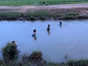 Tin tức - Tắm kênh, 4 em học sinh tiểu học bị đuối nước thương tâm