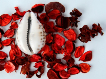 4 bệnh phụ khoa hay gặp sau sinh và cách giữ an toàn cho "cô bé"