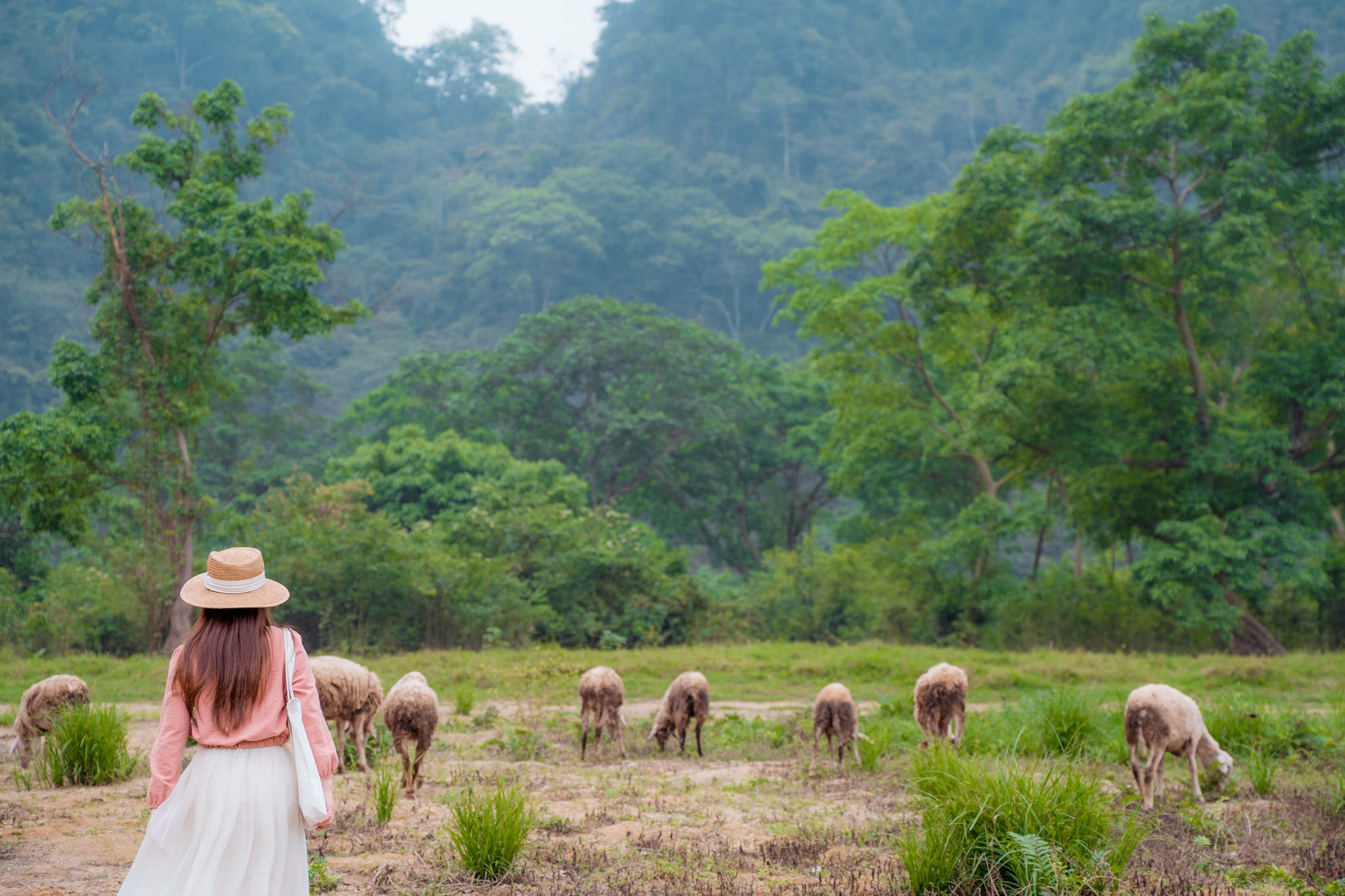 Hòa mình vào khung cảnh thiên nhiên.