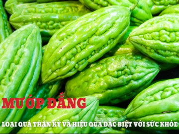 Mướp đắng và tác dụng đặc biệt