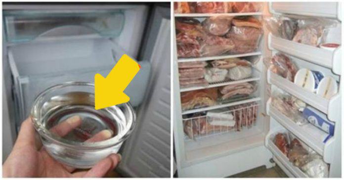 Đặt bát nước vào tủ lạnh, điều kỳ diệu xảy ra khi bạn nhận hóa đơn tiền điện vào cuối tháng - 1
