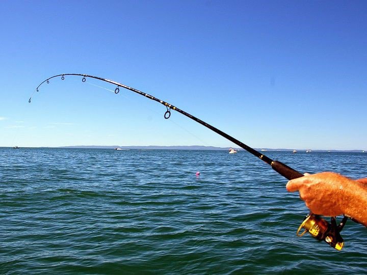 Cùng ăn nhiều cá biển nhưng người Nhật lại sống thọ hơn người Việt, lý giải đầy bất ngờ của chuyên gia - 1