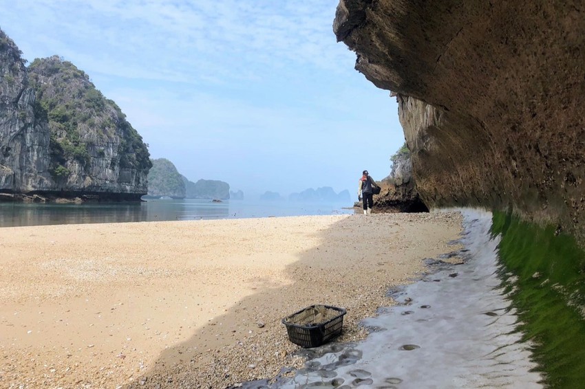 Những mỏm đá với cấu trúc độc đáo Ảnh: QUANG TRẦN