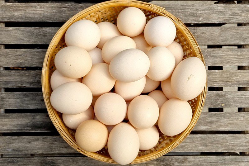 Đây là một nguồn dinh dưỡng phong phú và giàu choline. Choline có tác động  đáng kể đến sự phát triển của thai nhi. Trứng gia cầm, đặc biệt là trứng gà có lợi cho quá trình rụng trứng của phụ nữ.
