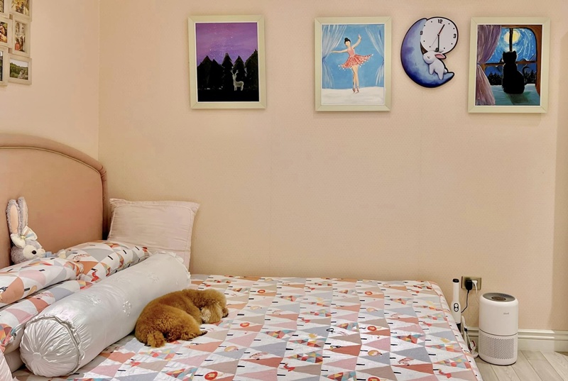 "Tài sản quý" là những bức tranh Sumo vẽ được treo khắp phòng. Trên giường là chú cún cưng tên Apple đang nằm say giấc.
