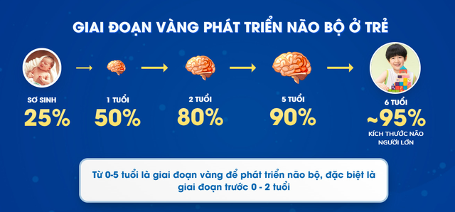 Muốn con phát triển trí não ngay từ những ngày đầu đời: Cần bổ sung dinh dưỡng ra sao? - 1