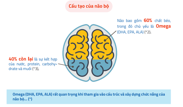 Muốn con phát triển trí não ngay từ những ngày đầu đời: Cần bổ sung dinh dưỡng ra sao? - 2