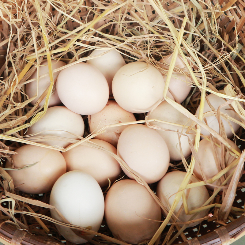 Trứng chứa đa dạng các loại vitamin tăng cường sinh lực và cải thiện ham muốn "chuyện ấy" ở nam giới. Các chất như kẽm, sắt, canxi và magie cải thiện số lượng và chất lượng tinh trùng, cải thiện sức khỏe sinh sản ở nam giới.
