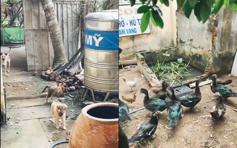 Những thay đổi tại quê nhà Vĩnh Long khiến nam diễn viên hào hứng ghi lại. (Ảnh: Chụp màn hình)