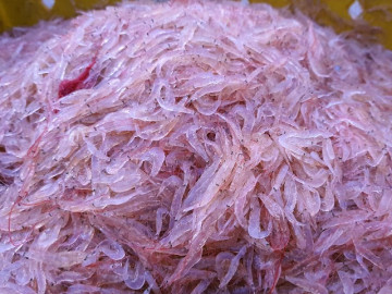 Thứ xưa ít ai biết, giờ thành đặc sản nổi tiếng được người thành phố săn lùng, 90.000 đồng/kg