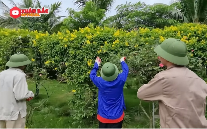 Một lần khi tỉa cây cùng bố, Bi Béo hỏi: "Tỉa cây làm gì hả bố? Chỉ thấy mệt thôi". Xuân Bắc trả lời: "Phải tỉa cây để tạo sự quang hợp và phát triển cho cây".
 
