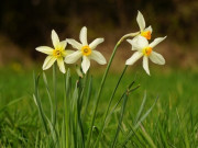 Eva tám - 4 biểu hiện không thể nhầm lẫn của người có trí tuệ cảm xúc cao