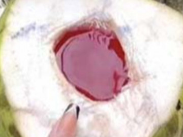 Loại quả xưa chín rụng không ai ăn, giờ thành đặc sản hiếm nhiều người săn lùng, ai may mắn mới được thưởng thức