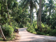 Tin tức - Bé 4 tuổi vặn tay ga xe máy làm 3 người tử vong, 1 người bị thương