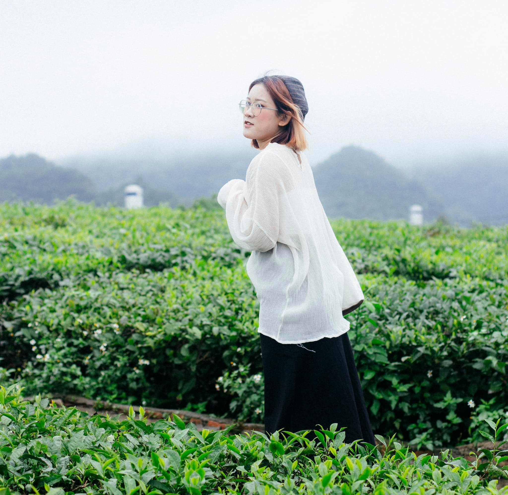 Tham quan đồi chè.