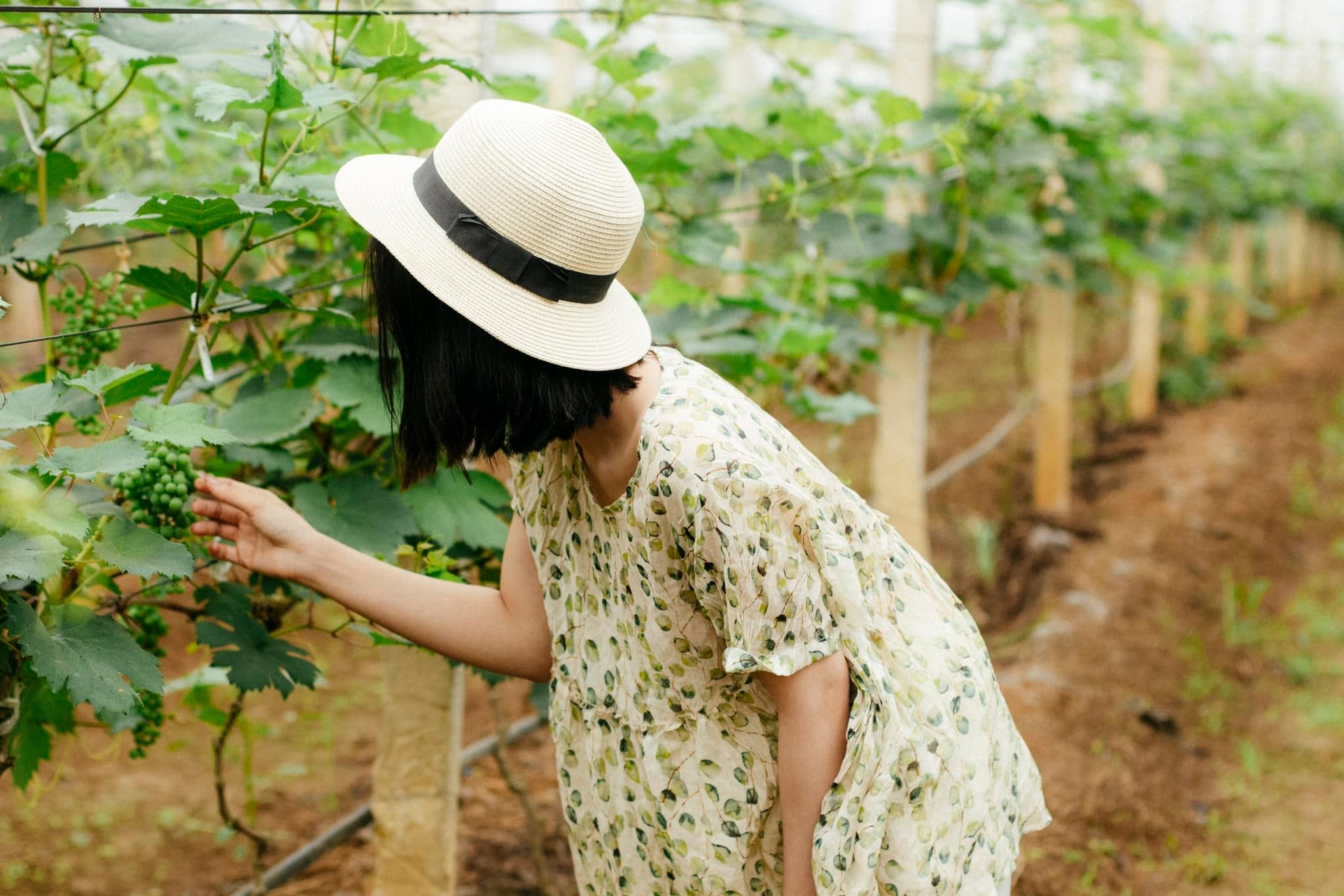 Hòa mình vào khung cảnh thiên nhiên.