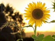 Eva tám - Cái khôn lớn nhất của đời người là thay đổi vòng kết nối