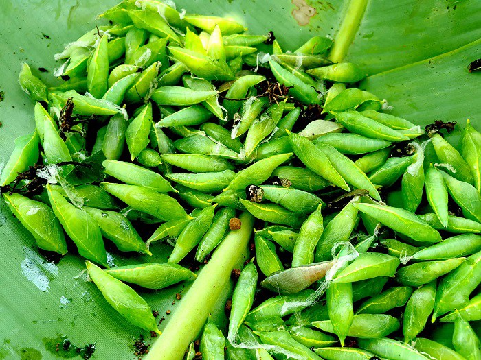 Thứ trông rất ghê rợn trở thành đặc sản nổi tiếng, ăn một lần nhớ cả đời không quên, ai muốn thưởng thức nhất định phải đến nơi đây - 1